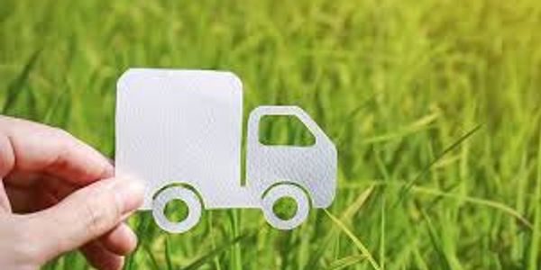 Productos ecológicos
Productos Biodegradables