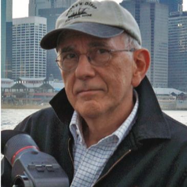 Joseph Friedman, cinematographer.