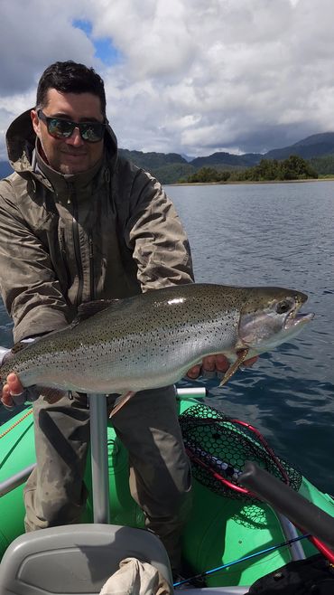 trucha arcoíris de laguna pullinque