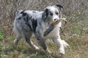 Shifter at the beach with a prize 😁