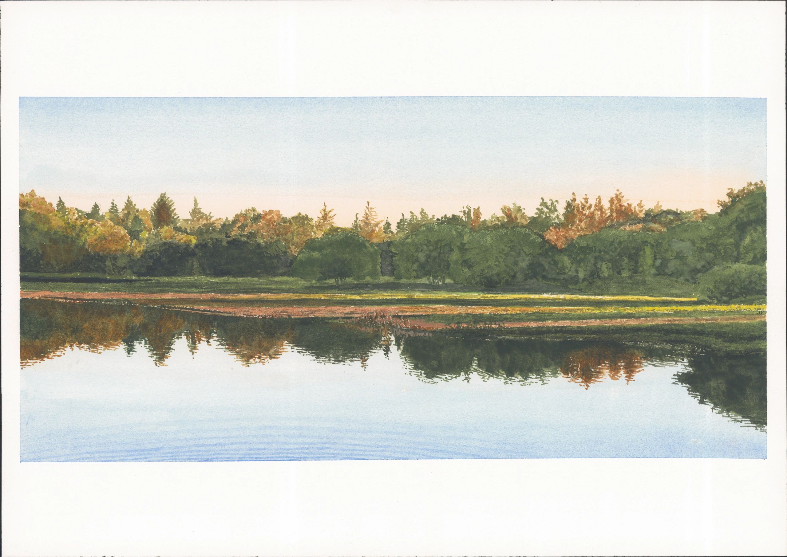 Late Afternoon Pond Image 19x9.25