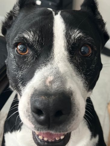 This Domain is Currently Under Construction