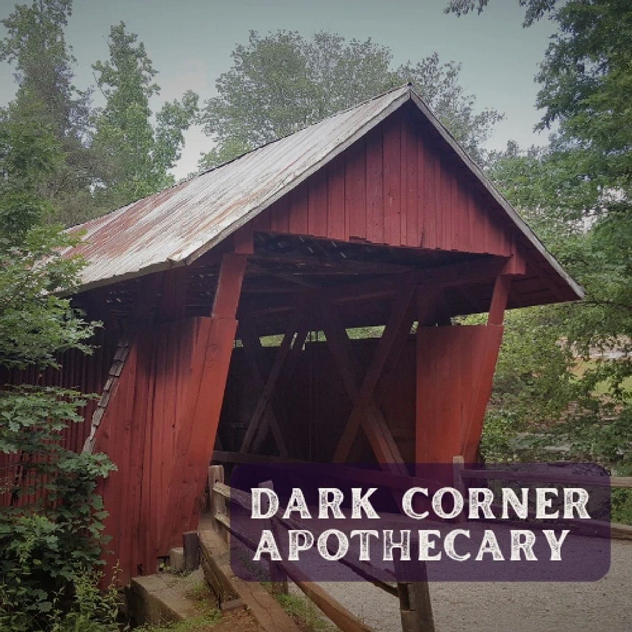 Campbell's Covered Bridge in the Dark Corner, SC