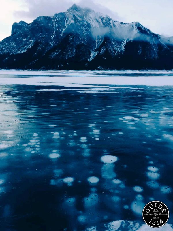Abraham Lake, Mount Michener, Alberta