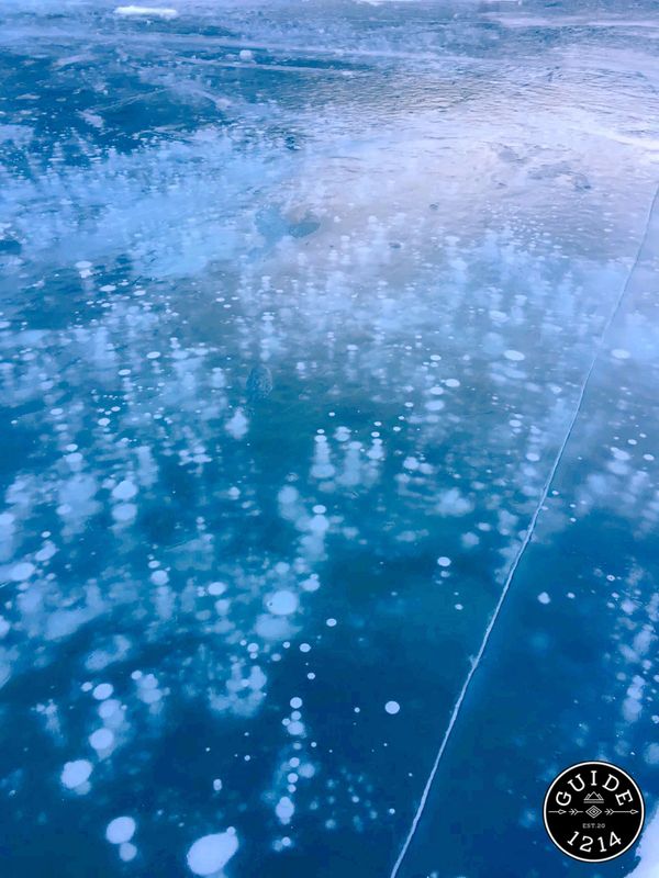 Frozen methane gas bubbles at Abraham Lake, Alberta.