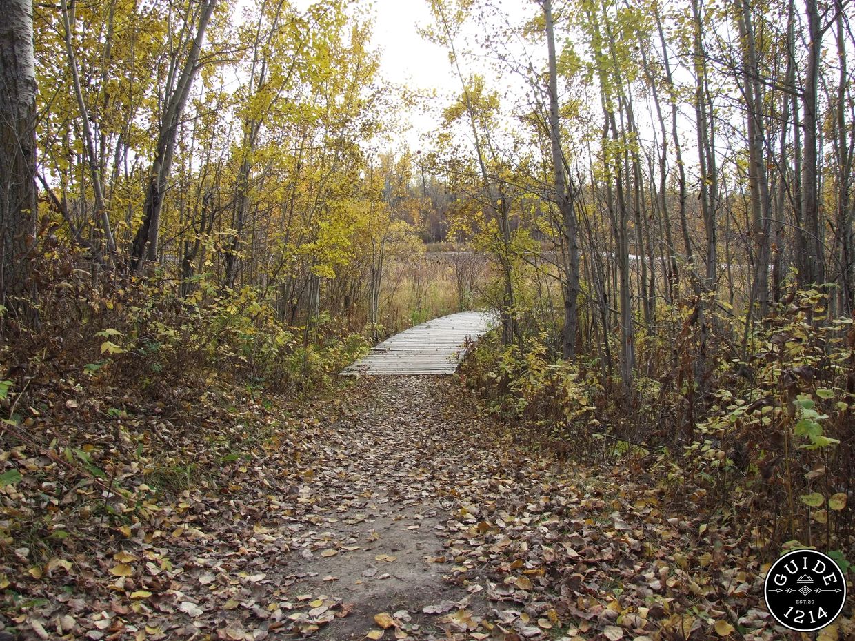 Elk Island National Park, Alberta