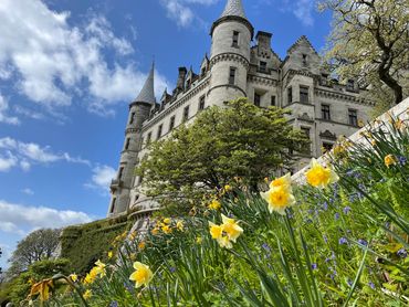 Large stone castle behind daffodils.
