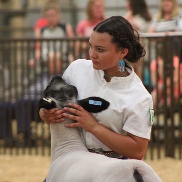 Girl exhibiting her lamb with determination, tags in her ear and the lamb