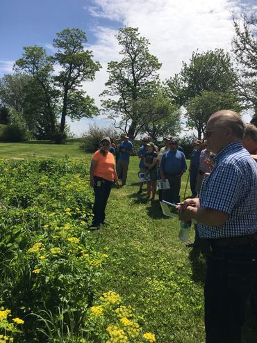Learning about pollinator plantings and their importance to insects and water quality.