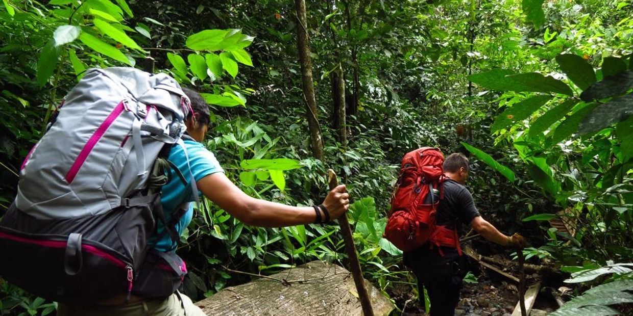 Trekking through the jungle