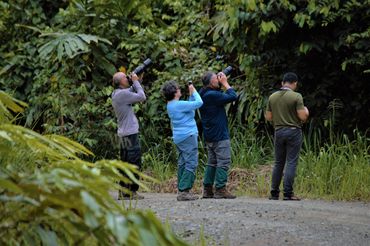A group of visitors are taking wildlife photo at Danum Valley