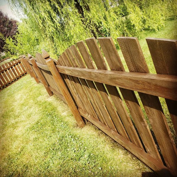 Fence staining and painting