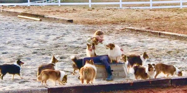 My niece playing with our dogs in the ring last winter.
