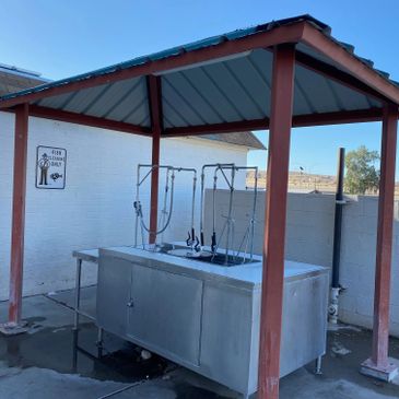 Clean the fish that you catch