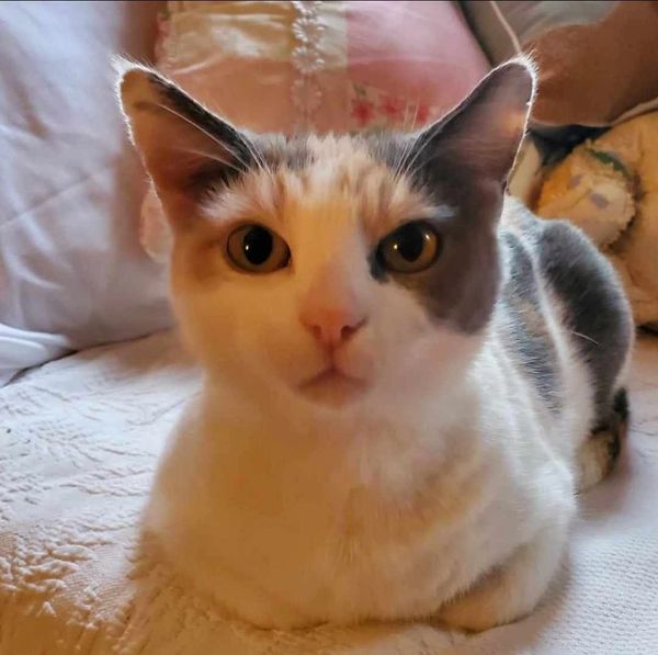 Check out Trixie and her amazing transformation