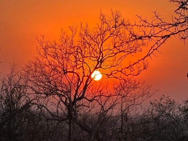 Beautiful view of sunset