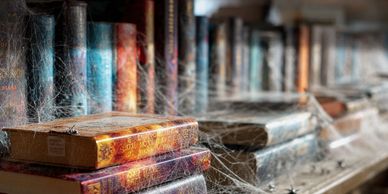 Old books covered in thick spider webs on a dusty shelf.