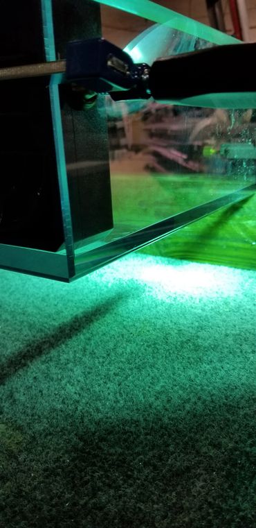 Close-up of a glass aquarium corner with green lighting on a textured surface.