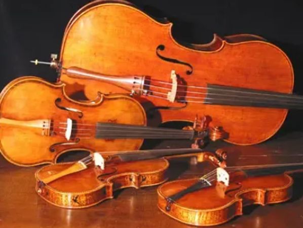 Violins viola cello