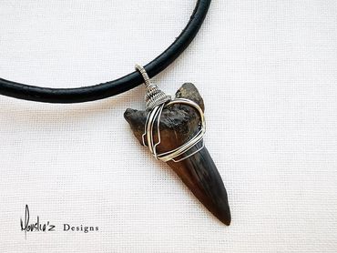 P572
Fossilized Shark Tooth.
Price: Egp 1000