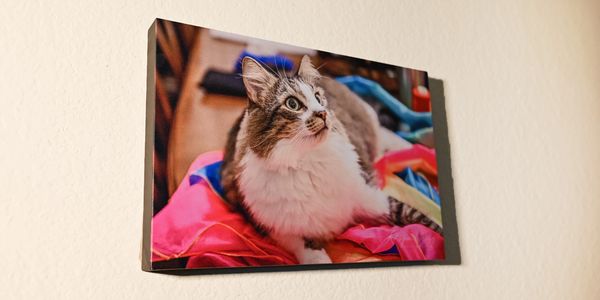 STRETCHED CANVAS