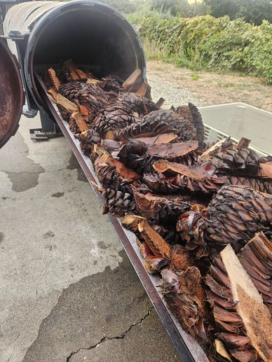 Calavé Spirits: California Agave Cooking in Low-Pressure Autoclave