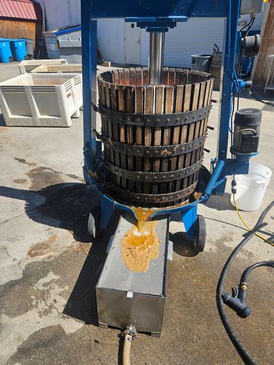 Calavé Spirits: Fermented Agave Juices Extracted for Distilling