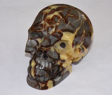 5" Septerian Skull Carving