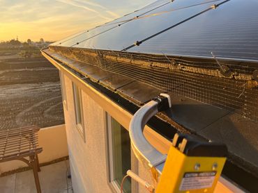 Installed bird-proofing mesh under solar panels during golden hour — protecting your home from nesti
