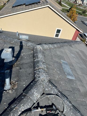 Bird droppings and debris buildup on roof before washing.