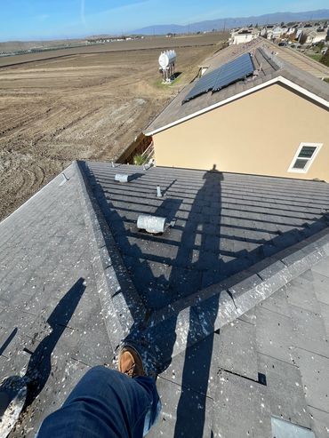 Roof surface with heavy bird droppings before cleaning.