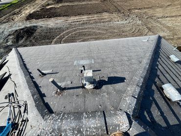 Before roof washing: bird droppings and debris buildup that can stain and damage roofing materials.