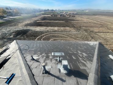 After cleaning: roof completely cleared of bird droppings and debris, restored to a clean and safe s