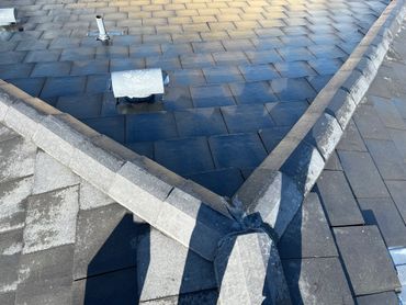 Roof cleaned and restored after removing bird droppings.