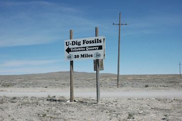 U-Dig Fossils: Trilobite Quarry