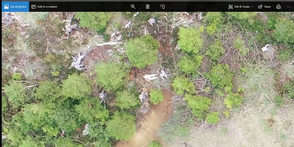 drone forestry search and rescue