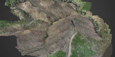 drone forestry 3D modeling