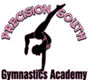 Precision South Gymnastics Academy
