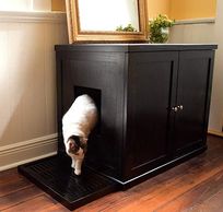 Ragdoll cat litter box furniture