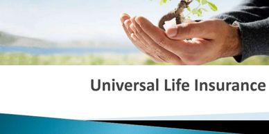 Check out our Life Insurance Plans such as the Index Universal Life Policy that builds up cash ( Tax