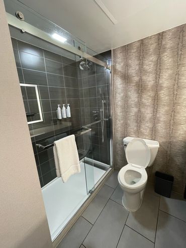 Toilet and shower