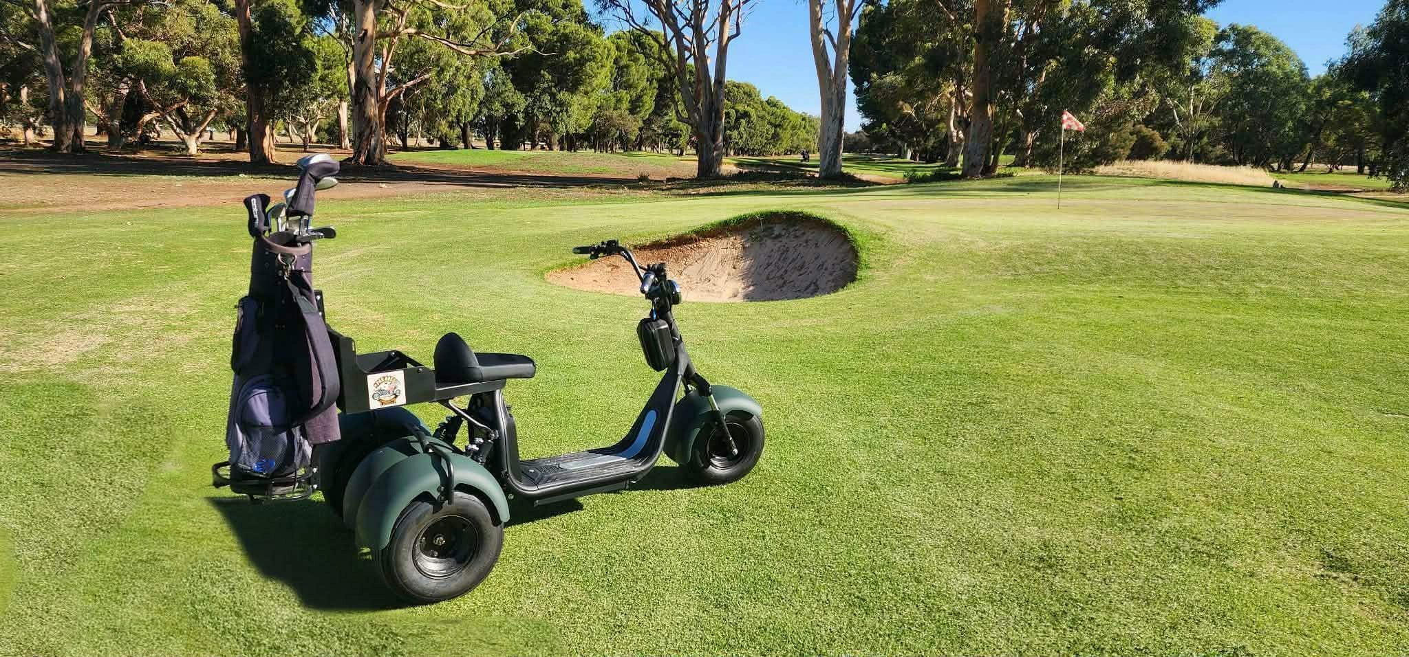 a Parhog parked near a sand bunker on a golf course.