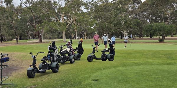 Golfers walking on a green with parhogs parked nearby.