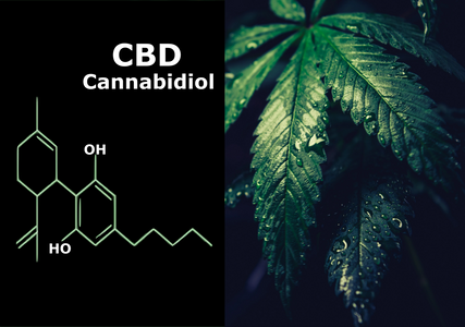 NCBD - CBD Molecular Structure