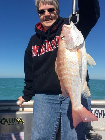 A Large Lane Snapper Caught Deep Sea Fishing OFF OF FORT MYERS BEACH.