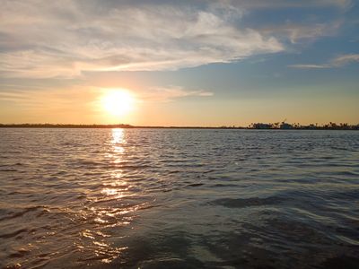 Fort Myers Dolphin Tours