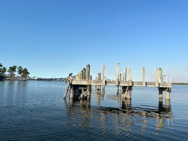 Cape Coral Boat Guided Tour