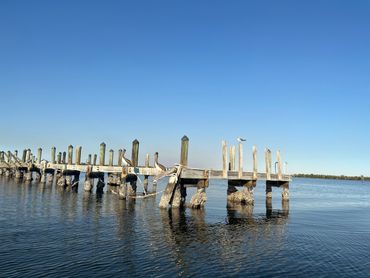 Cape Coral Things to do