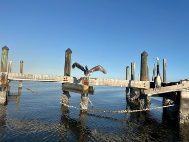 Cape Coral Guided Jetski Tour
