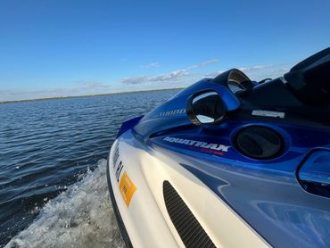 Sanibel Dolphin tour